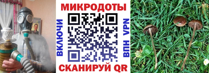 Галлюциногенные грибы MAGIC MUSHROOMS  Вологда 