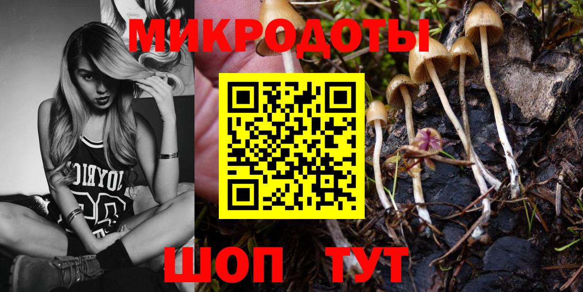 Псилоцибиновые грибы MAGIC MUSHROOMS  Вологда  Галлюциногенные грибы мухоморы 