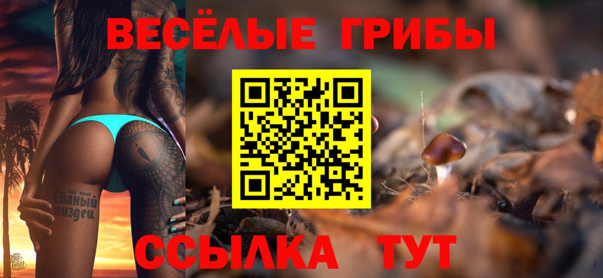 Псилоцибиновые грибы MAGIC MUSHROOMS  Вход с VPN  Вологда 