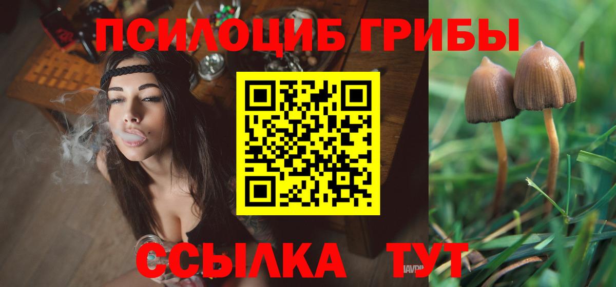 Галлюциногенные грибы прущие грибы Вологда